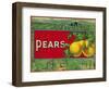 Pear Stock Crate Label-Lantern Press-Framed Art Print