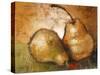 Pear Study II-Lanie Loreth-Stretched Canvas