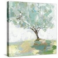 Pear tree-Allison Pearce-Stretched Canvas
