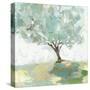 Pear tree-Allison Pearce-Stretched Canvas