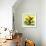 Pear Trees 2-Leah Saulnier-Framed Giclee Print displayed on a wall