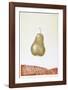 Pear-Hank Laventhol-Framed Limited Edition