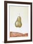 Pear-Hank Laventhol-Framed Limited Edition