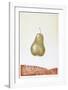 Pear-Hank Laventhol-Framed Limited Edition