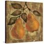 Pear-Silvia Vassileva-Stretched Canvas