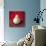 Pear-Lanie Loreth-Stretched Canvas displayed on a wall