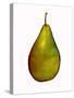pear-Sarah Thompson-Engels-Stretched Canvas