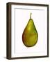 pear-Sarah Thompson-Engels-Framed Giclee Print