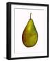 pear-Sarah Thompson-Engels-Framed Giclee Print