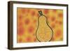 Pear-Martin Nasim-Framed Giclee Print