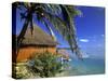 Pearl Beach Resort, Akitua Motu, Aitutaki, Cook Islands-Walter Bibikow-Stretched Canvas