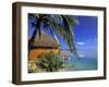 Pearl Beach Resort, Akitua Motu, Aitutaki, Cook Islands-Walter Bibikow-Framed Photographic Print