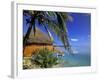 Pearl Beach Resort, Akitua Motu, Aitutaki, Cook Islands-Walter Bibikow-Framed Photographic Print