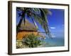 Pearl Beach Resort, Akitua Motu, Aitutaki, Cook Islands-Walter Bibikow-Framed Photographic Print