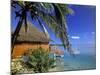 Pearl Beach Resort, Akitua Motu, Aitutaki, Cook Islands-Walter Bibikow-Mounted Photographic Print