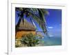 Pearl Beach Resort, Akitua Motu, Aitutaki, Cook Islands-Walter Bibikow-Framed Photographic Print