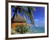 Pearl Beach Resort, Akitua Motu, Aitutaki, Cook Islands-Walter Bibikow-Framed Photographic Print