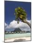 Pearl Beach Resort, Bora-Bora, Leeward Group, Society Islands, French Polynesia-Sergio Pitamitz-Mounted Photographic Print