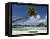 Pearl Beach Resort, Bora-Bora, Leeward Group, Society Islands, French Polynesia-Sergio Pitamitz-Framed Stretched Canvas