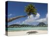 Pearl Beach Resort, Bora-Bora, Leeward Group, Society Islands, French Polynesia-Sergio Pitamitz-Stretched Canvas