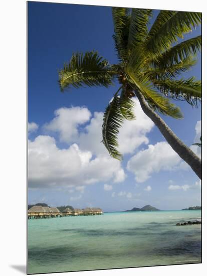 Pearl Beach Resort, Bora-Bora, Leeward Group, Society Islands, French Polynesia-Sergio Pitamitz-Mounted Photographic Print