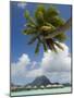 Pearl Beach Resort, Bora-Bora, Leeward Group, Society Islands, French Polynesia-Sergio Pitamitz-Mounted Photographic Print