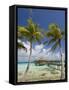 Pearl Beach Resort, Tikehau, Tuamotu Archipelago, French Polynesia Islands-Sergio Pitamitz-Framed Stretched Canvas