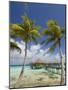 Pearl Beach Resort, Tikehau, Tuamotu Archipelago, French Polynesia Islands-Sergio Pitamitz-Mounted Photographic Print