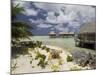 Pearl Beach Resort, Tikehau, Tuamotu Archipelago, French Polynesia Islands-Sergio Pitamitz-Mounted Photographic Print