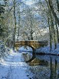 Snow on the Basingstoke Canal, Stacey's Bridge and Towpath, Winchfield, Hampshire, England, UK-Pearl Bucknall-Photographic Print
