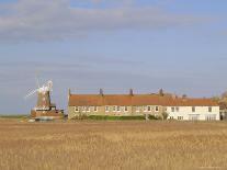 Reedbeds and Cley Windmill, Norfolk, England-Pearl Bucknell-Photographic Print