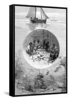 Pearl Fishery, Torres Strait, Australia, 1886-null-Framed Stretched Canvas