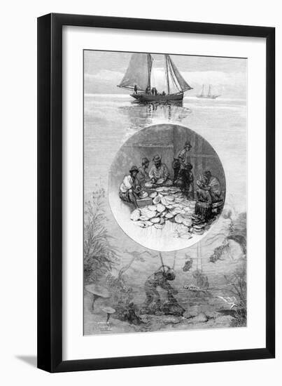 Pearl Fishery, Torres Strait, Australia, 1886-null-Framed Giclee Print