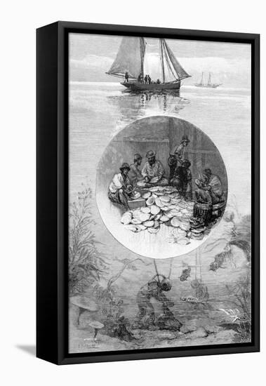Pearl Fishery, Torres Strait, Australia, 1886-null-Framed Stretched Canvas