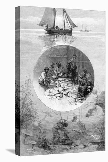 Pearl Fishery, Torres Strait, Australia, 1886-null-Stretched Canvas