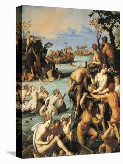 Pearl Fishing, 1570-Alessandro Allori-Stretched Canvas