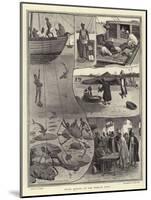 Pearl Fishing in the Persian Gulf-William Ralston-Mounted Giclee Print