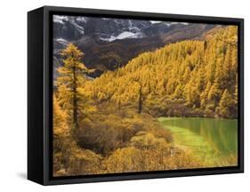 Pearl Lake and Larches, Yading Nature Reserve, Sichuan Province, China, Asia-Jochen Schlenker-Framed Stretched Canvas