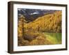 Pearl Lake and Larches, Yading Nature Reserve, Sichuan Province, China, Asia-Jochen Schlenker-Framed Photographic Print