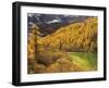 Pearl Lake and Larches, Yading Nature Reserve, Sichuan Province, China, Asia-Jochen Schlenker-Framed Photographic Print