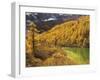 Pearl Lake and Larches, Yading Nature Reserve, Sichuan Province, China, Asia-Jochen Schlenker-Framed Photographic Print