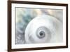 Pearl Lite-Dina Marie-Framed Art Print