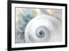 Pearl Lite-Dina Marie-Framed Art Print