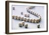 Pearl Necklace-Lawrence Lawry-Framed Photographic Print