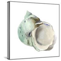 Pearl Shell-Aimee Wilson-Stretched Canvas