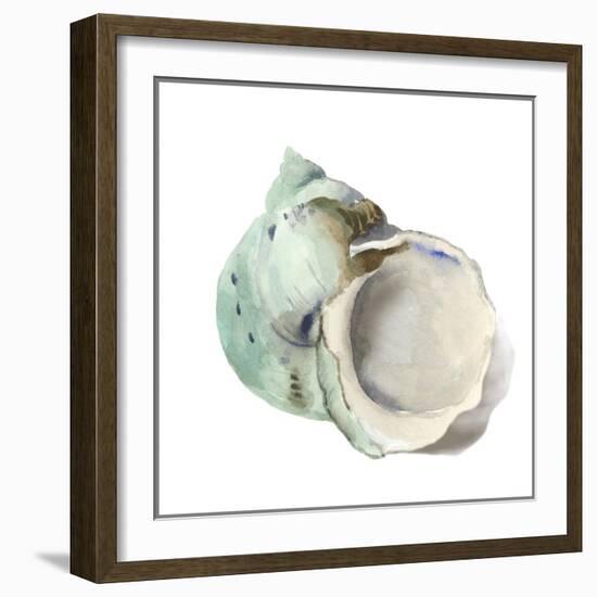 Pearl Shell-Aimee Wilson-Framed Art Print