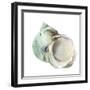 Pearl Shell-Aimee Wilson-Framed Art Print