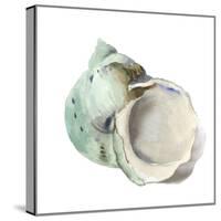 Pearl Shell-Aimee Wilson-Stretched Canvas