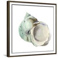 Pearl Shell-Aimee Wilson-Framed Premium Giclee Print