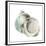 Pearl Shell-Aimee Wilson-Framed Premium Giclee Print